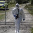 Michael Gaine: Discovery of human remains leads to ‘intense’ activity on farmland